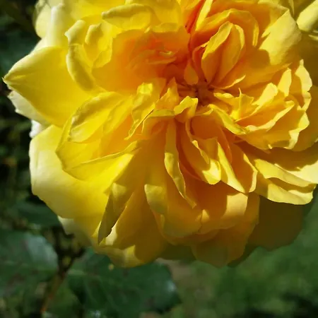 Hotel Panoramic Montepulciano