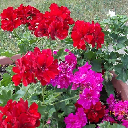 Panoramic 3* Montepulciano