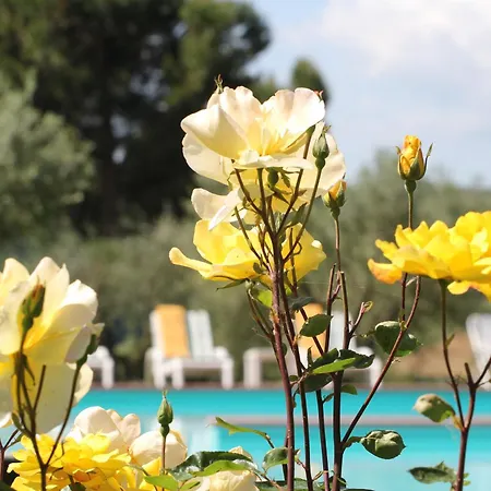 Panoramic Montepulciano