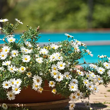 Panoramic 3* Montepulciano