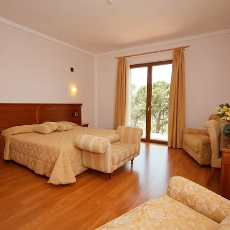 Hotel Panoramic 3*