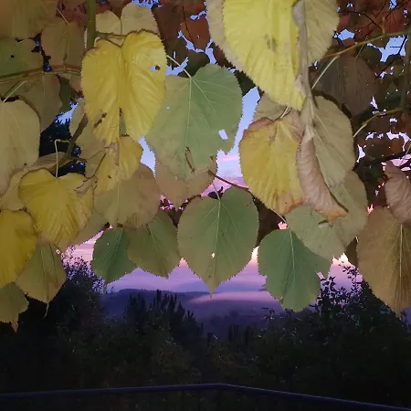 Panoramic 3* Montepulciano Stazione
