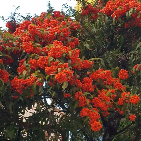 Panoramic 호텔 Montepulciano Stazione