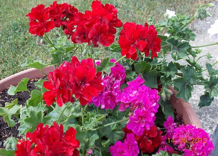 Panoramic 3* Montepulciano Stazione