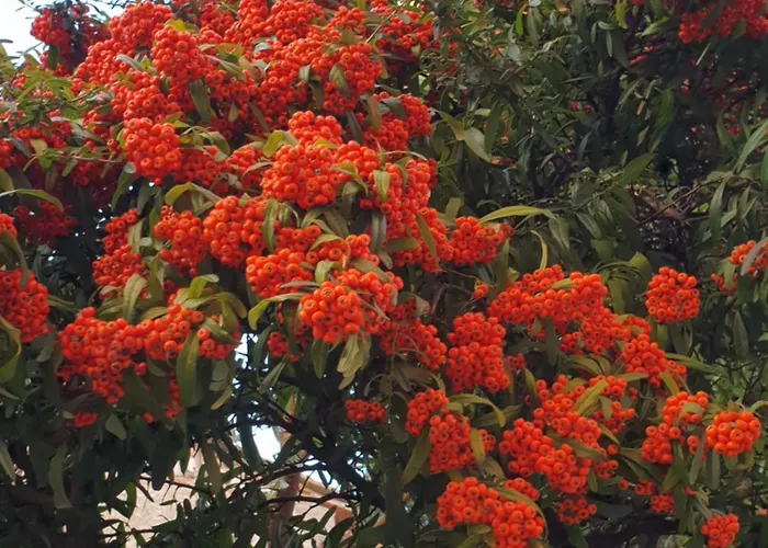 Panoramic 호텔 Montepulciano Stazione