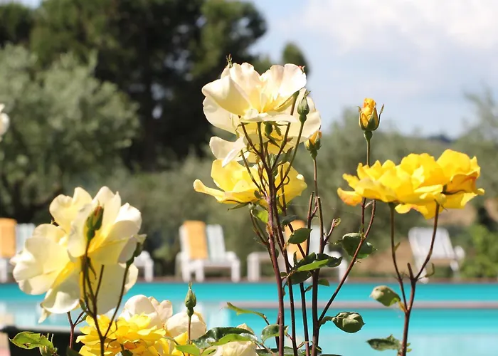 Panoramic Montepulciano Stazione