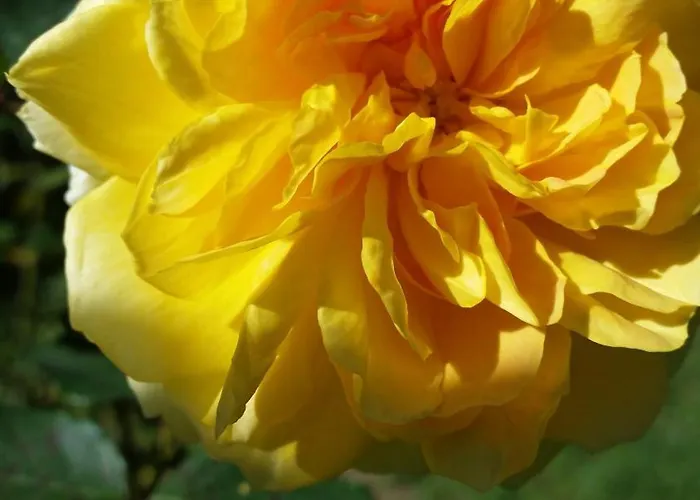 ホテル Panoramic Montepulciano Stazione