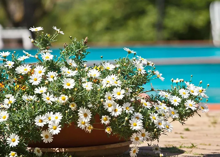 Panoramic 3* Montepulciano Stazione
