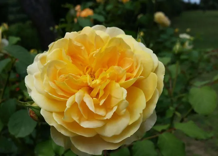 Panoramic ホテル 3*